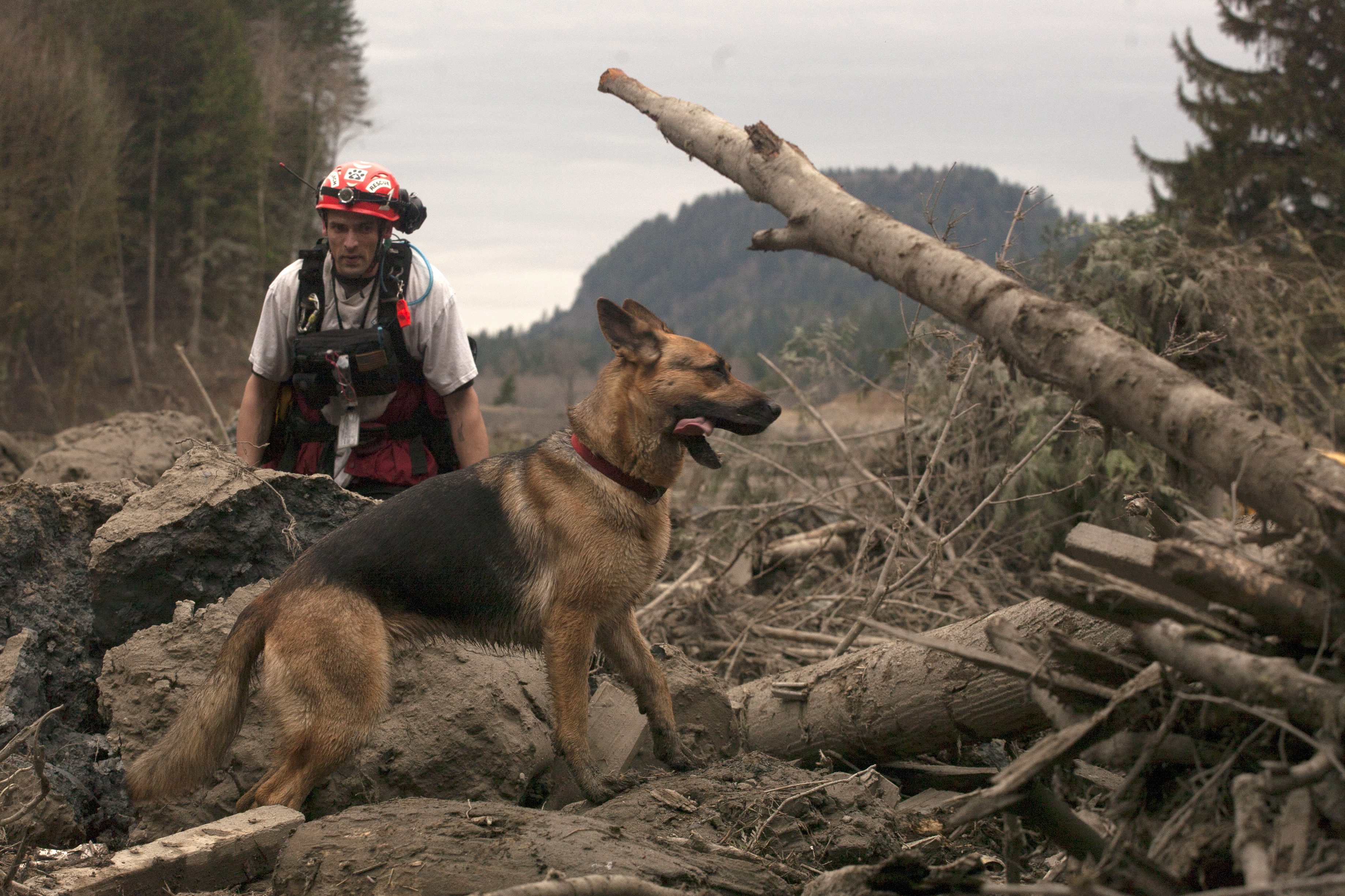 Растат жертвите на гигантското свлачище в САЩ (снимки)