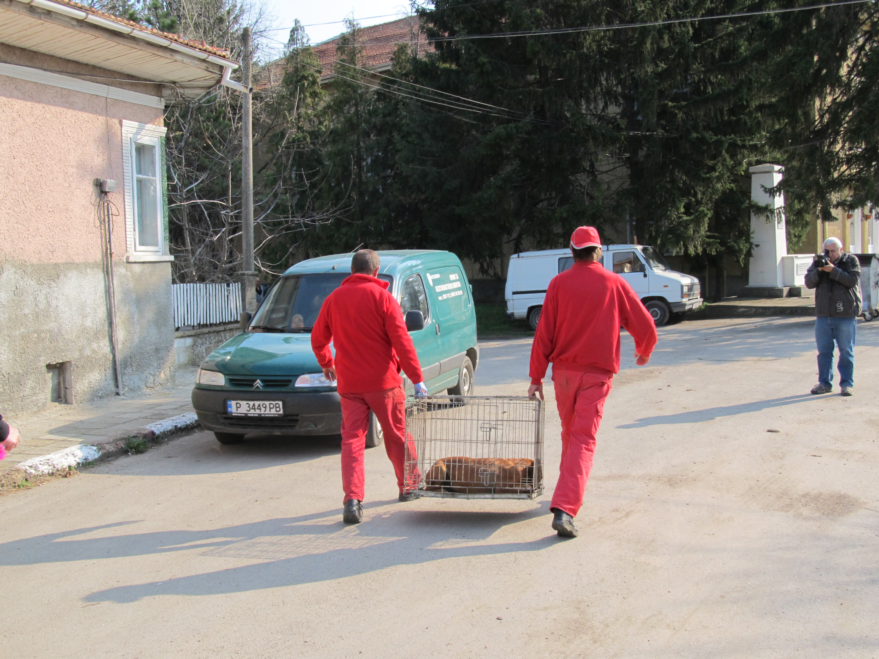 В Червена вода незабавно бе извикан и екип на приюта за животни