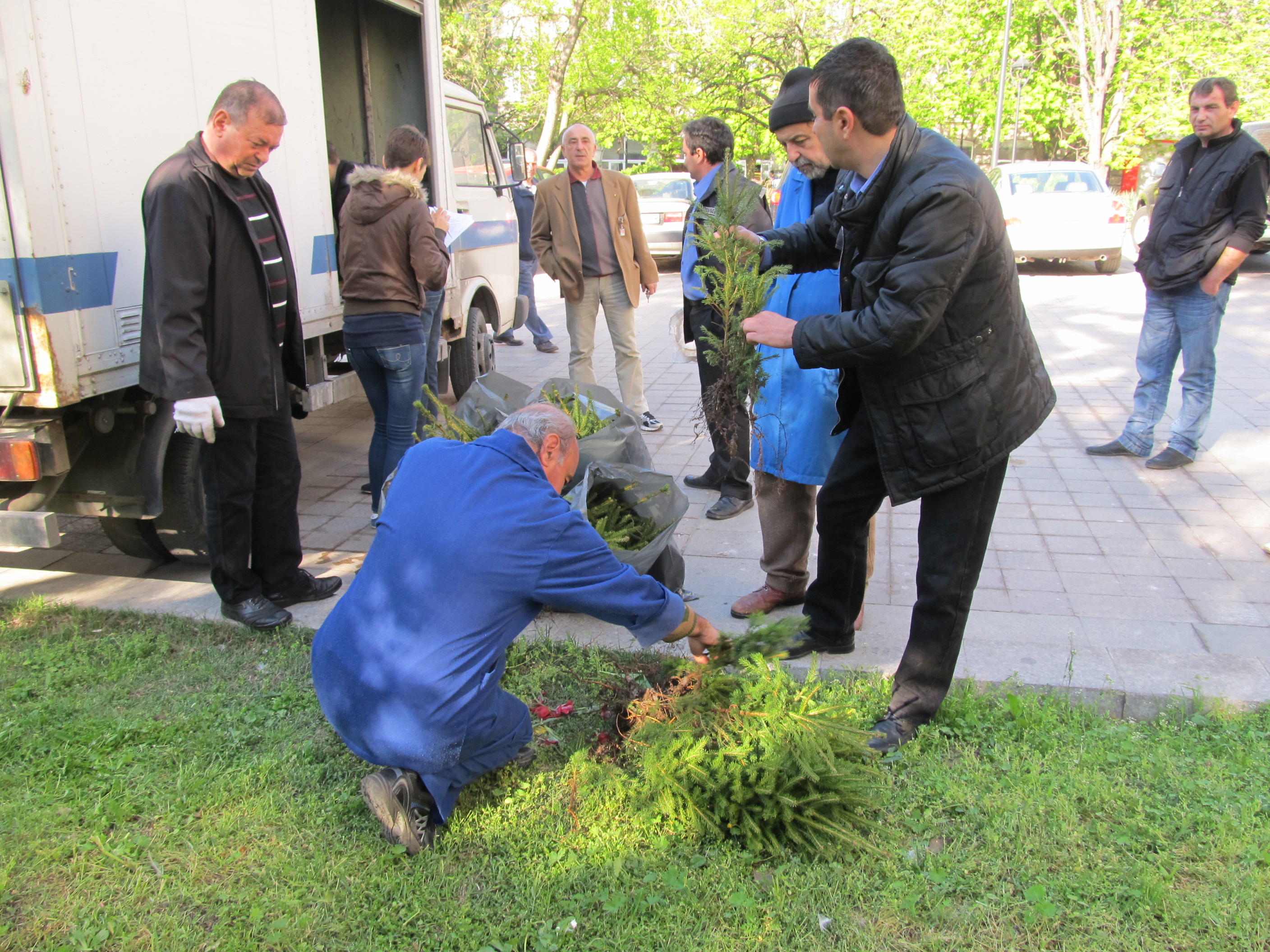 Иглолистните дръвчета са предназначени за 14-те кметства в Русенска община, училища и детски градини