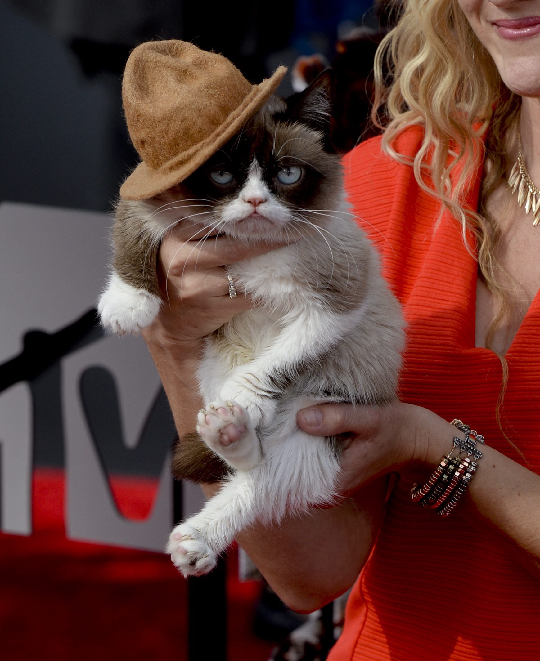 Grumpy Cat на червения килим