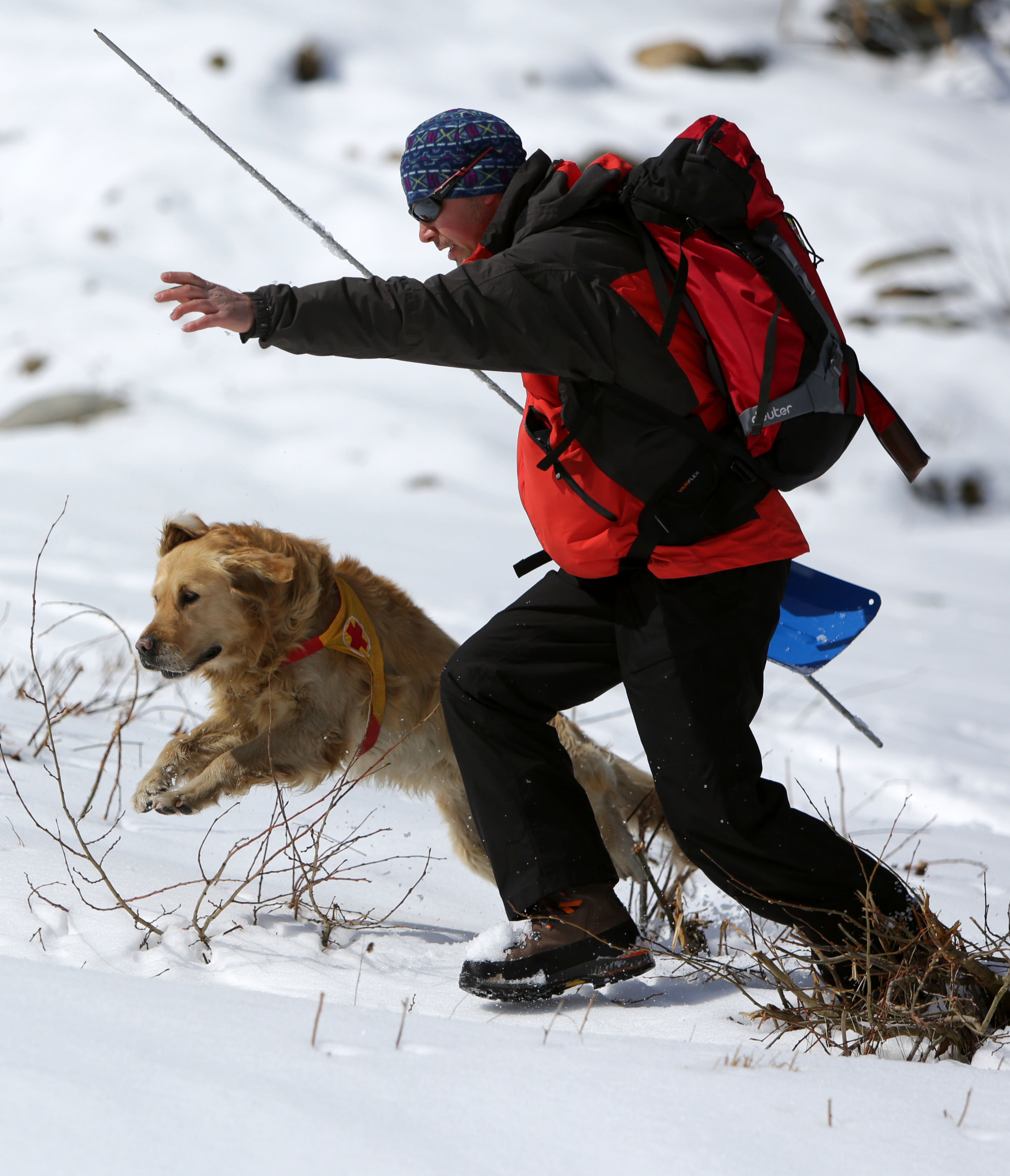 ПСС проведе демонстрация със спасителни кучета