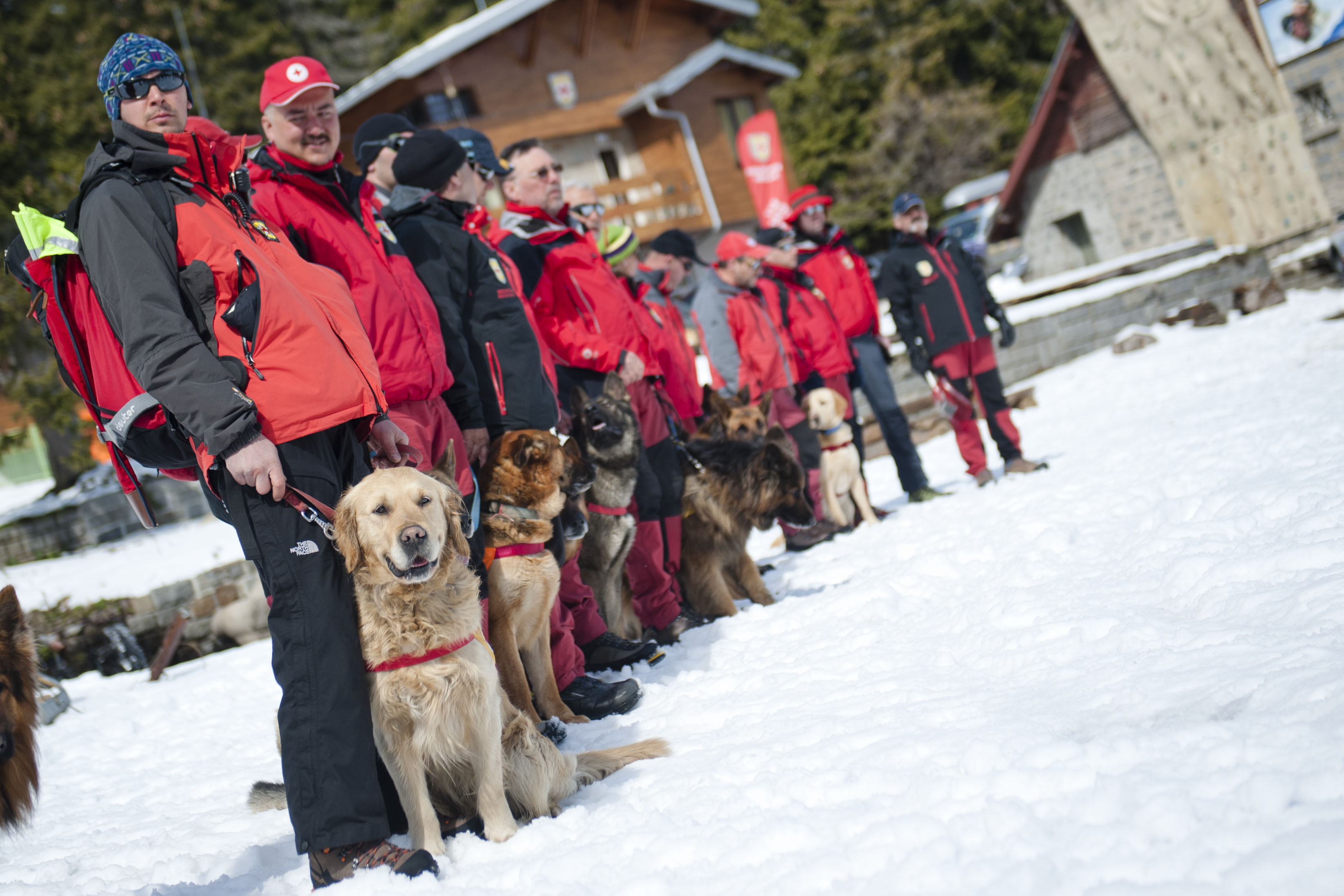 В момента Планинската спасителна служба има 22 кучета