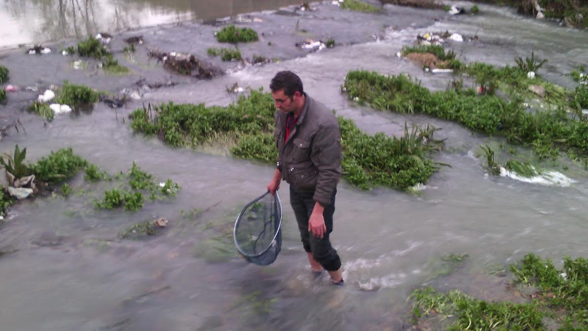 Перничани спасяват с легени рибата в Струма след замърсяване