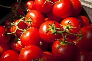 Разработват части за автомобили от домати