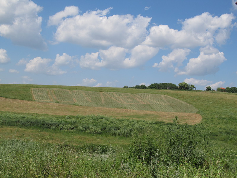 Заличиха надписа ”Оставка”, глоба за автора