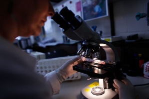 Откриха ахилесовата пета на резистентни към антибиотиците бактерии