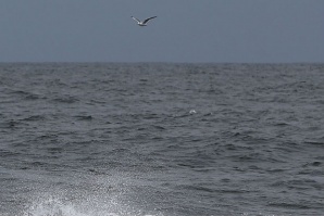 Първият китайски батискаф потегли за експедиция в Тихия океан