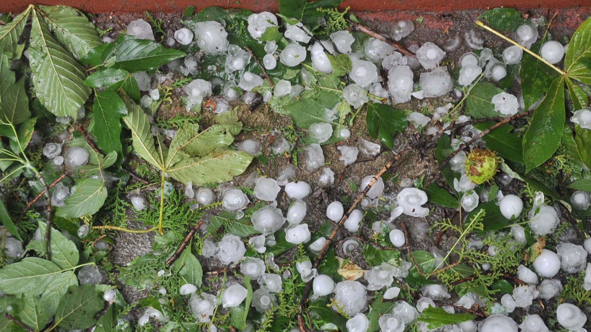 Тази година се предвижда въвеждането на пилотен проект за градозащита