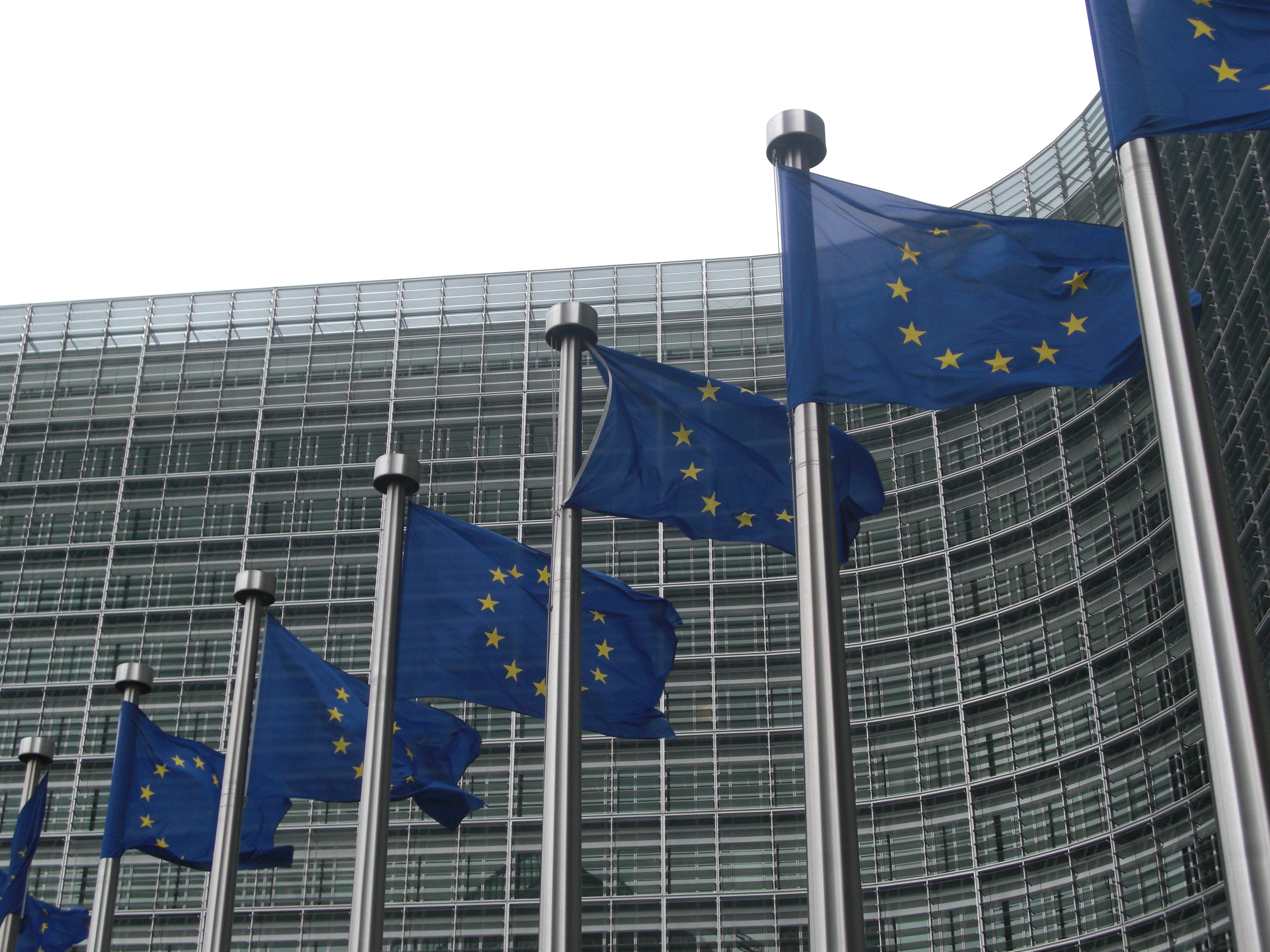 Според белгийските специални служби двамата задържани са готвели терористично нападение срещу Европейската комисия