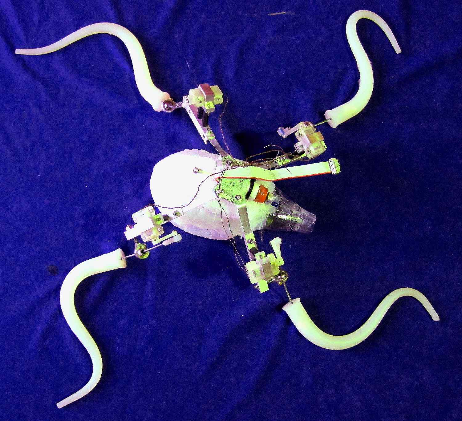 Учени разработват гъвкав робот-октопод