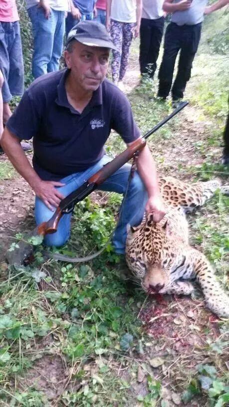Прокуратурата откри престъпление в убийството на ягуара