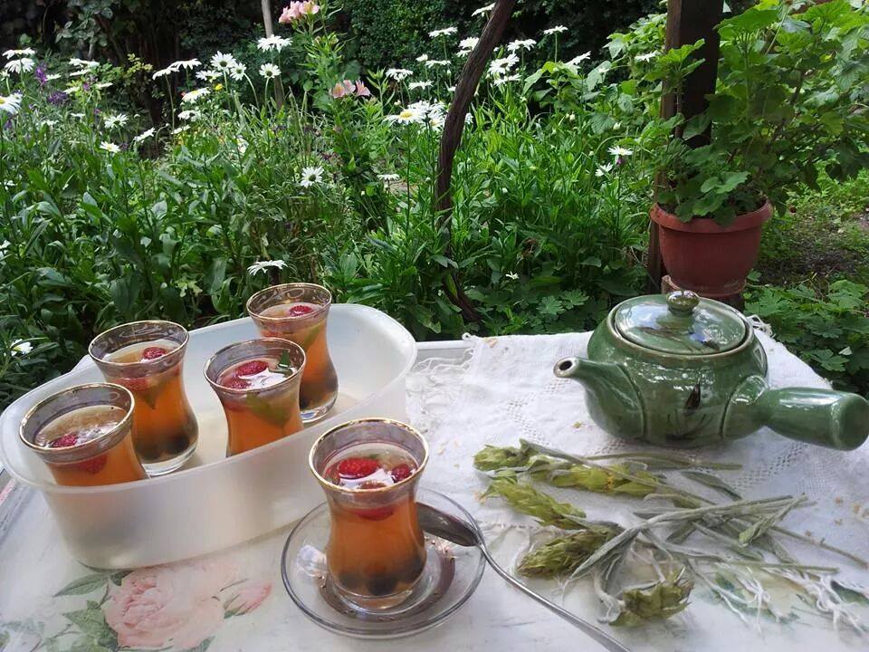Желе от мурсалски чай, горски плодове и джин
