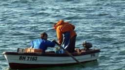 Морето ”почерня” от паламуд и свали цената