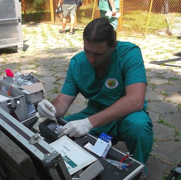 Животните в зоопарка в София починали от треска