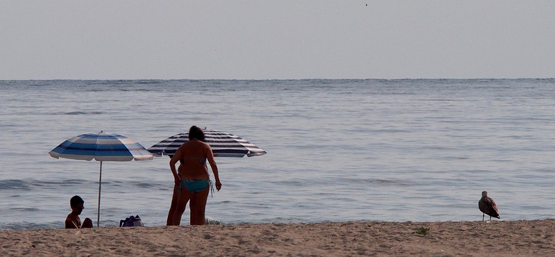 Най-необичайните оплаквания на туристите