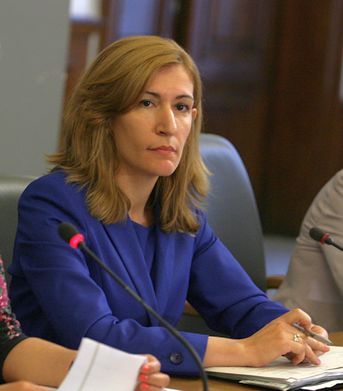 Изграждането на мостовете ще е по линия на публично-частно партньорство, каза Николина Ангелкова