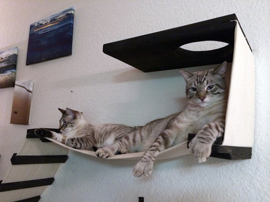 Мебели за котки на фирмата Catastrophic Creations