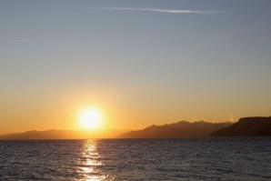 Морско водорасло може да противодейства на климатичните промени