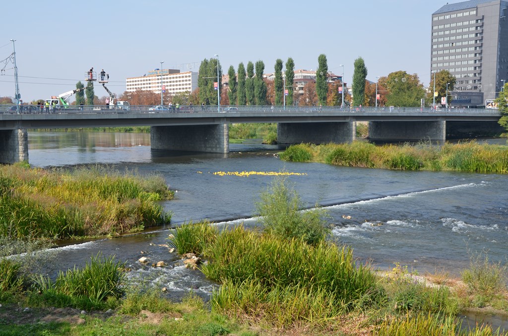 Състезание с гумени патета по река Марица