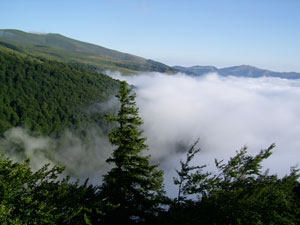 Хайдушкият фестивал стана известен в САЩ