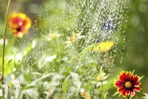 Смарт етажерка сама полива цветята