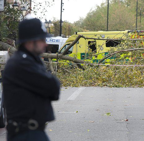 Жена бе смазана от паднало дърво в Югозападен Лондон