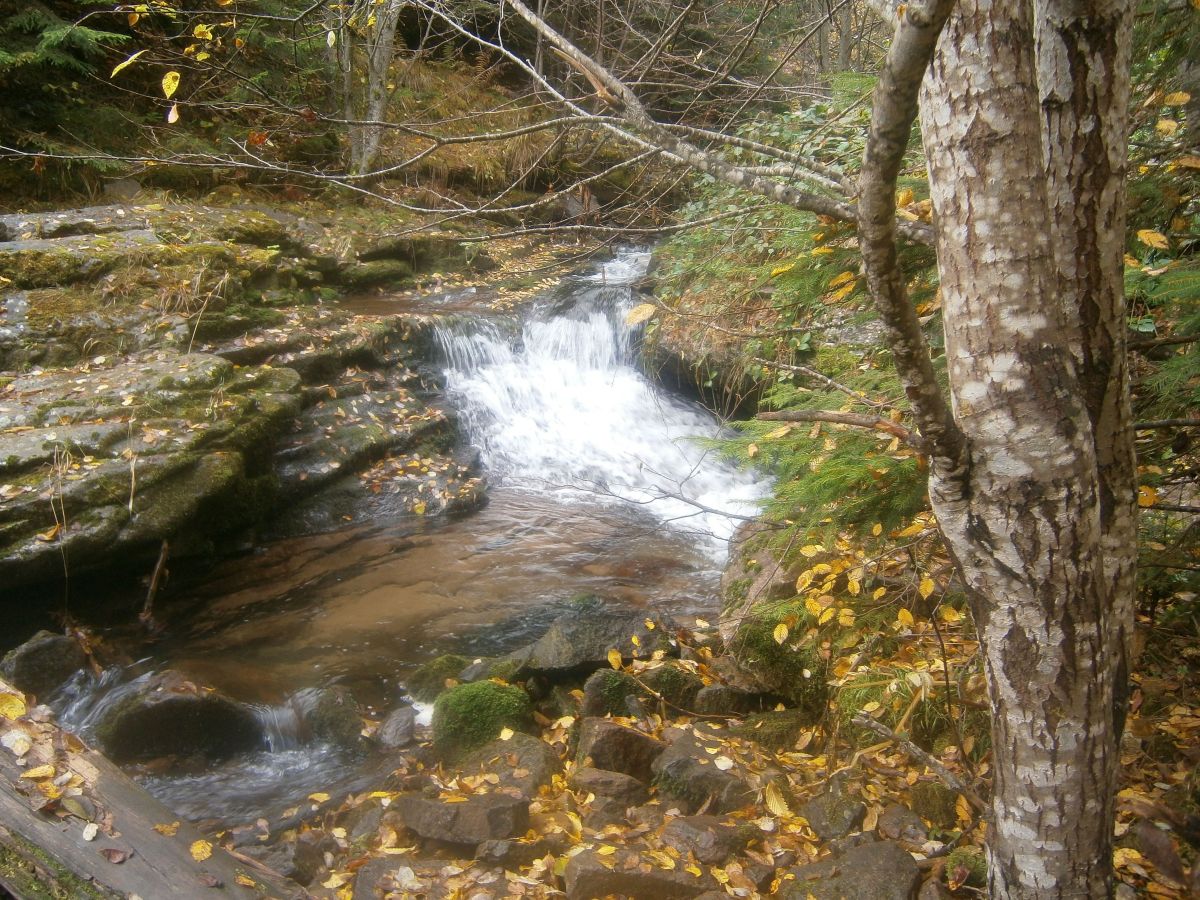 По екопътеката ”Каньонът на водопадите”