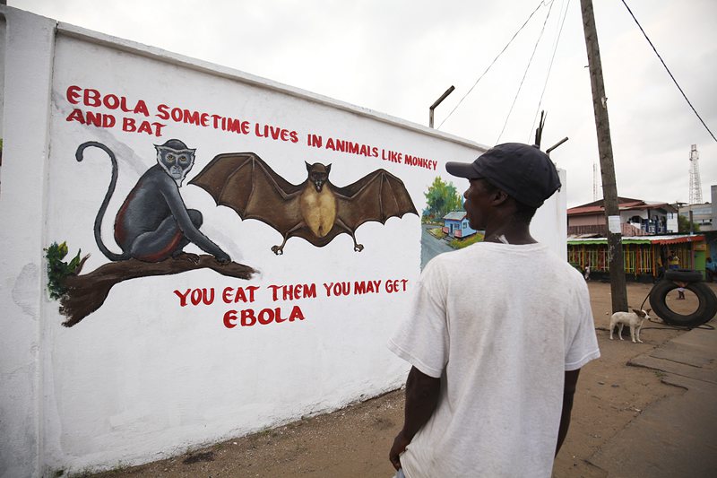 Половината либерийци не работят заради Ебола