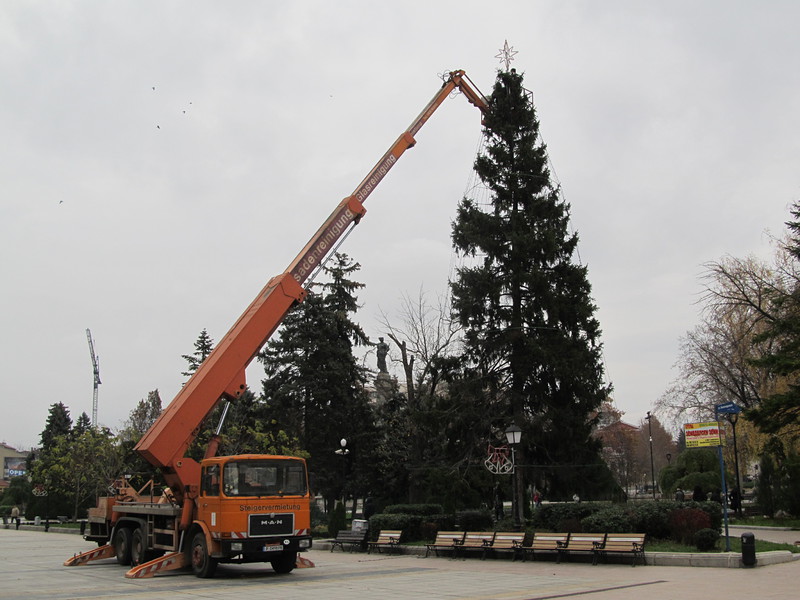 Започна украсяването на естественото коледно дърво на площада при общината