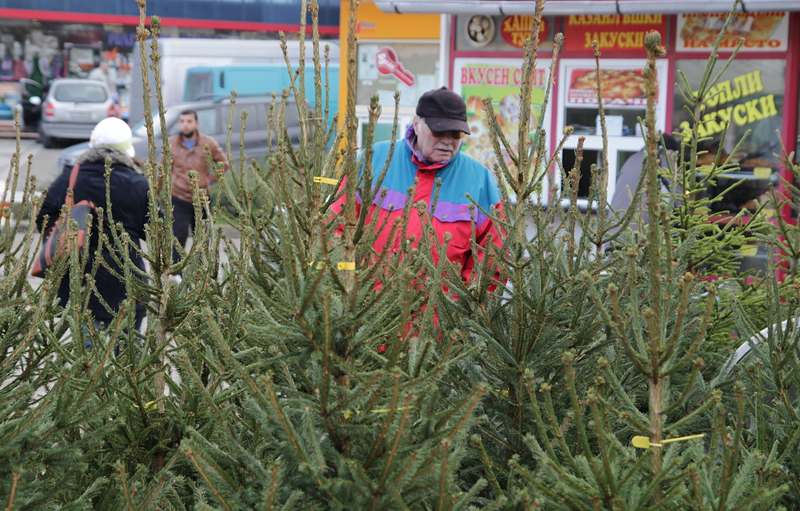 Бургазлии пазаруват на Еко Коледен базар