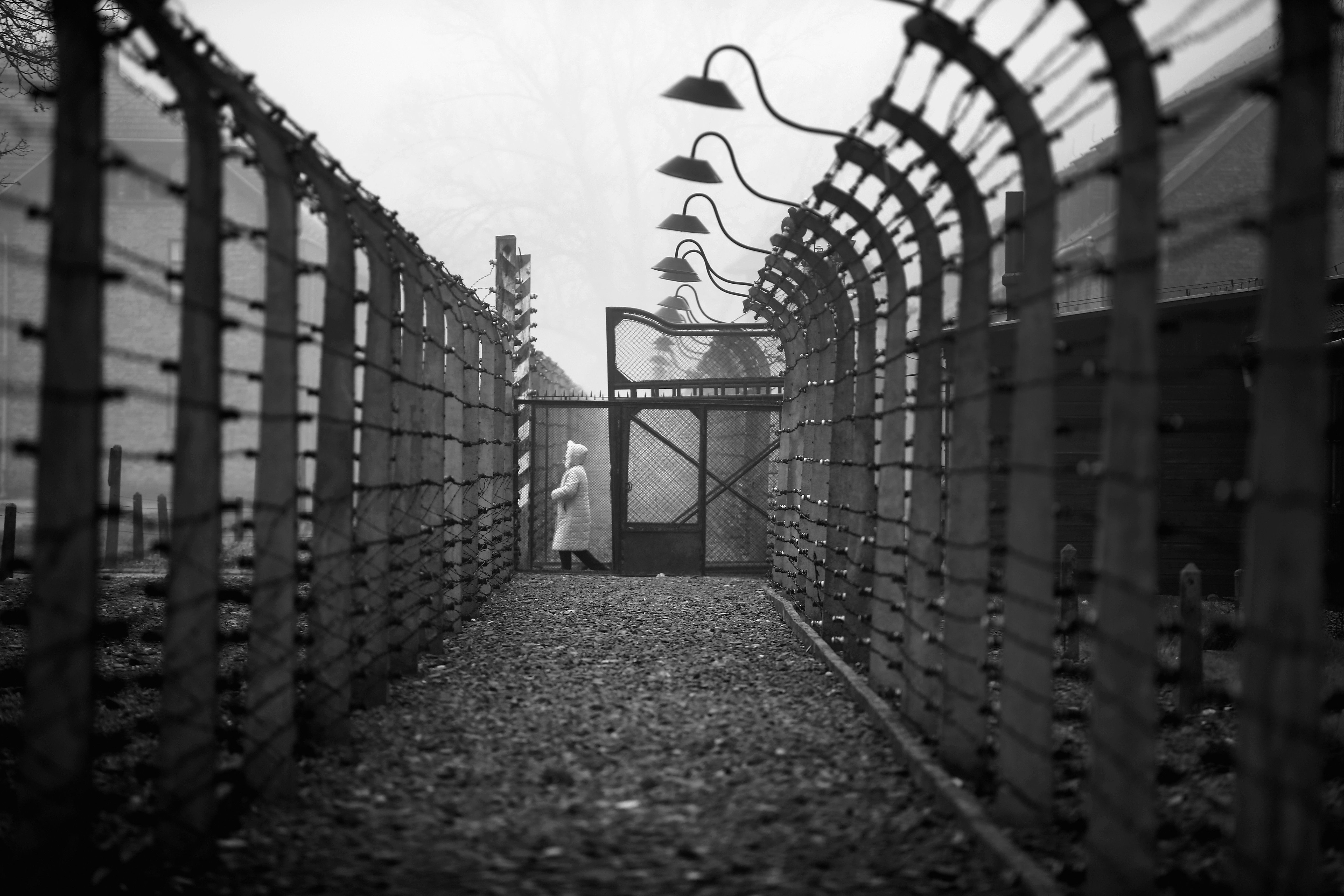 Осем нацистки престъпници били издирени в Германия