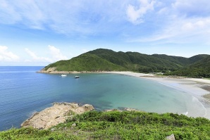 Токсичен цъфтеж на водорасли предизвиква синьо сияние край брега на Хонконг