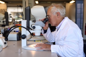 Учените са готови с нови перспективи за лечение срещу ХИВ