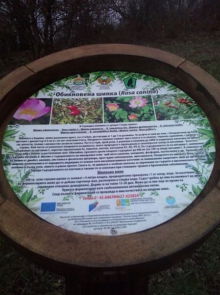 Нов маршрут показва билките на Странджа