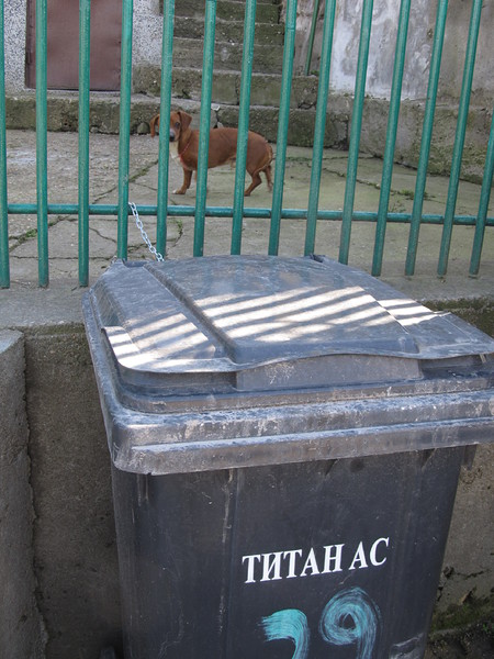 Русенци връзват кофите за боклук с вериги