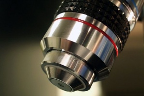 Идентифицираха най-малките бактерии в света