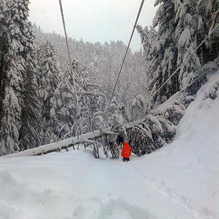 Аварийни екипи работят за възстановяване на електричеството