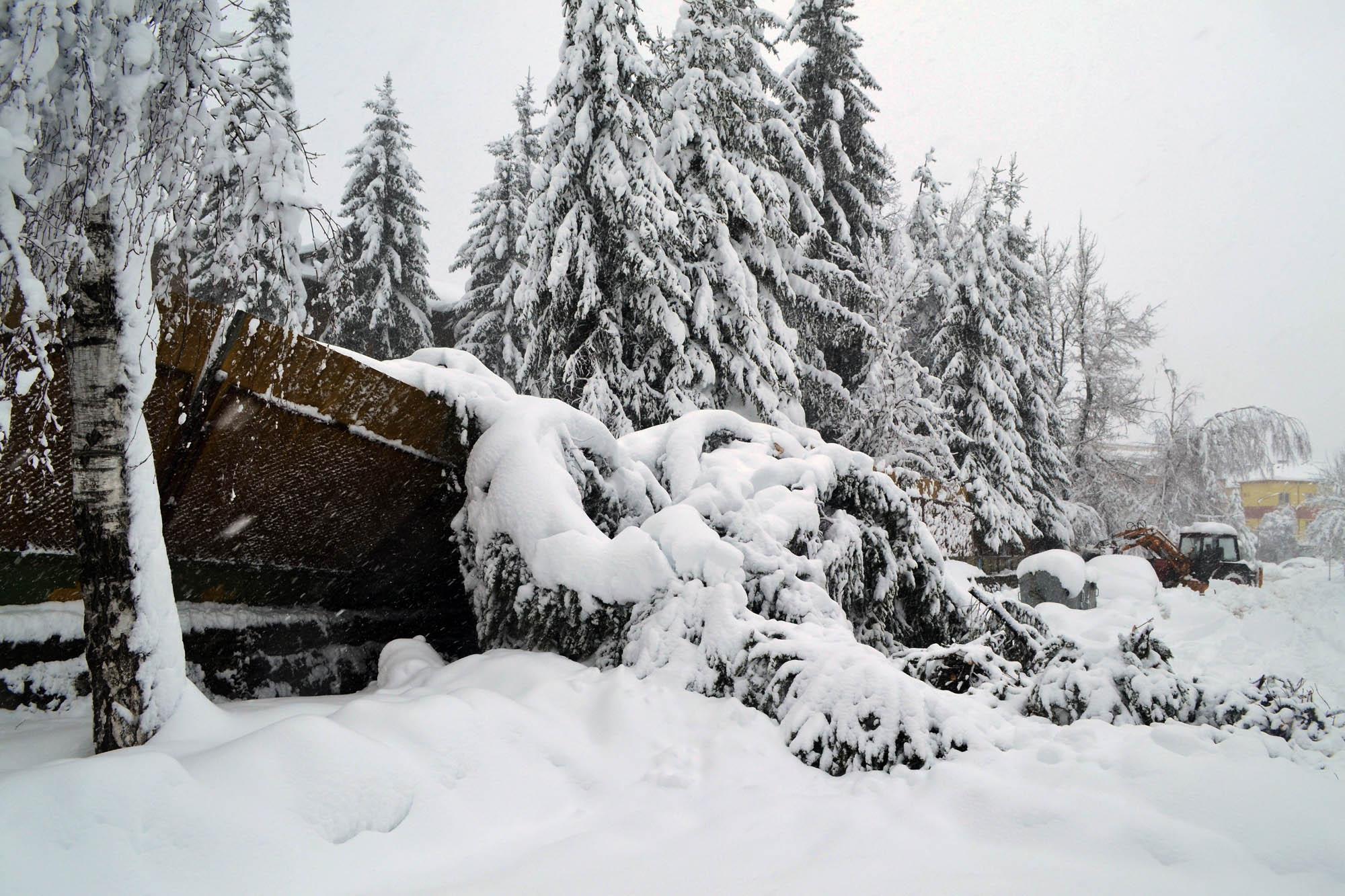 В планините на Западна България остава зимно в следващите дни