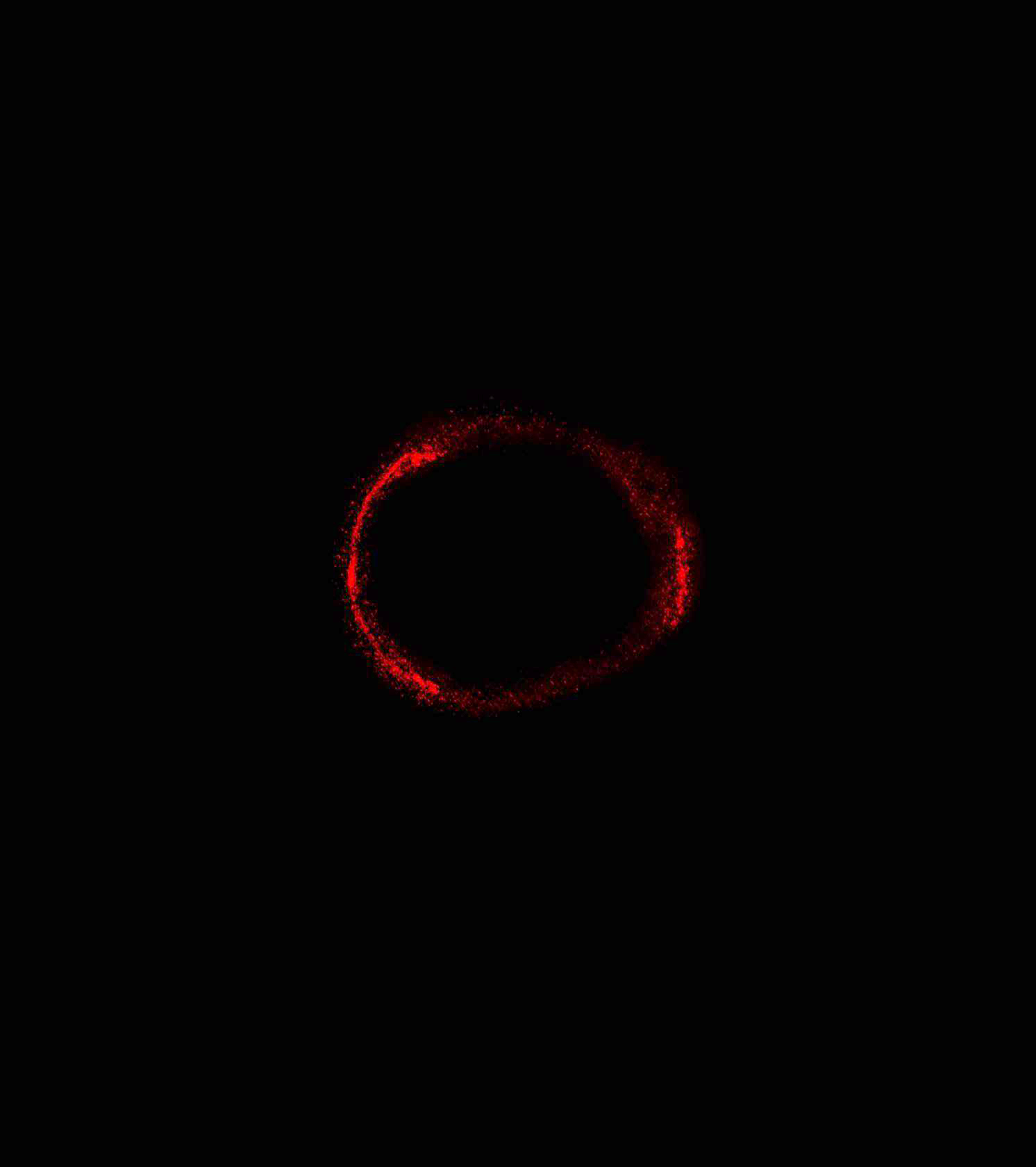 ”Пръстенът на Айнщайн”