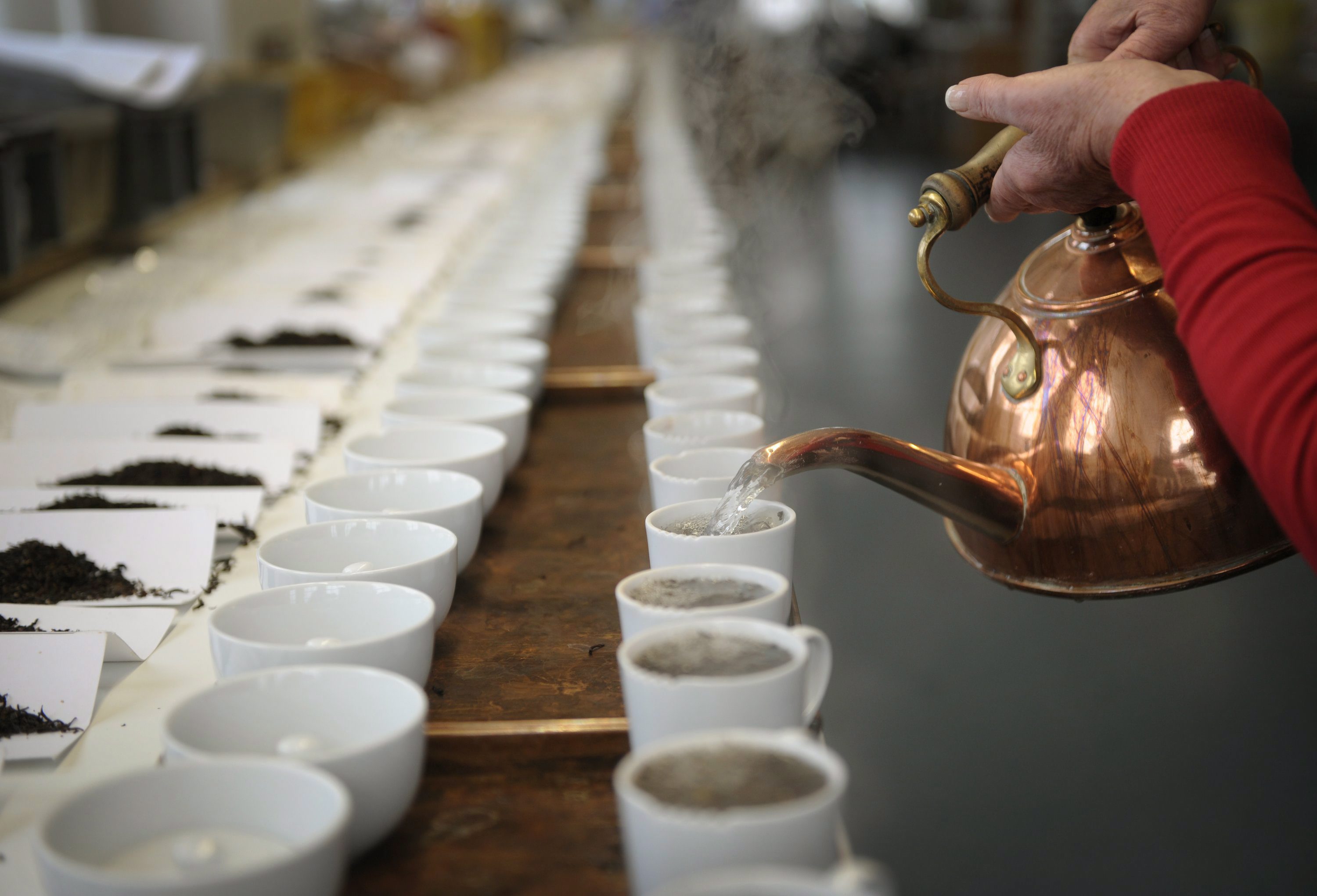 Реколтата и вкусовите качества на традиционните видове чай осезаемо се влошават