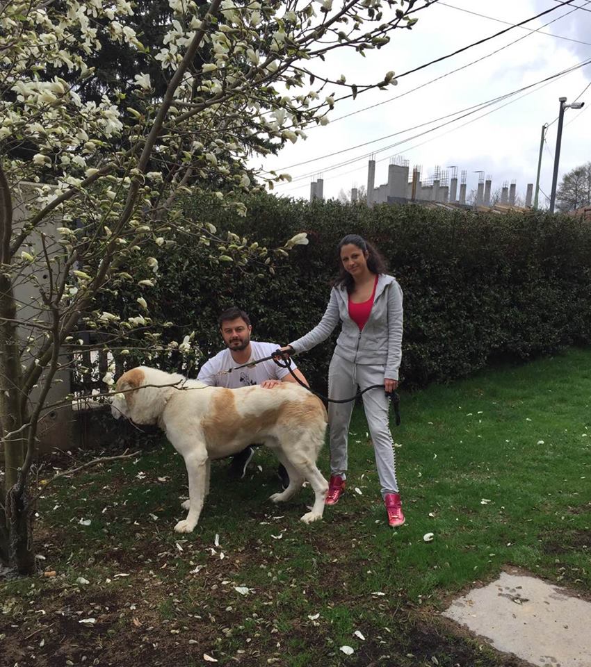 Николай Бареков се снима с кучето си Бари, което много обичало магнолиите