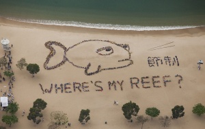 Екологичен апокалипсис заплашва океаните