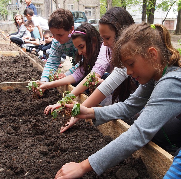 Ученици правиха биоградина в училище (снимки)