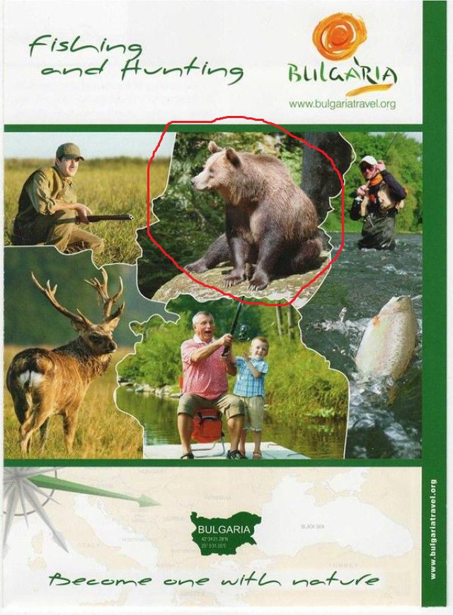 Рекламират България като дестинация за лов на мечка гризли