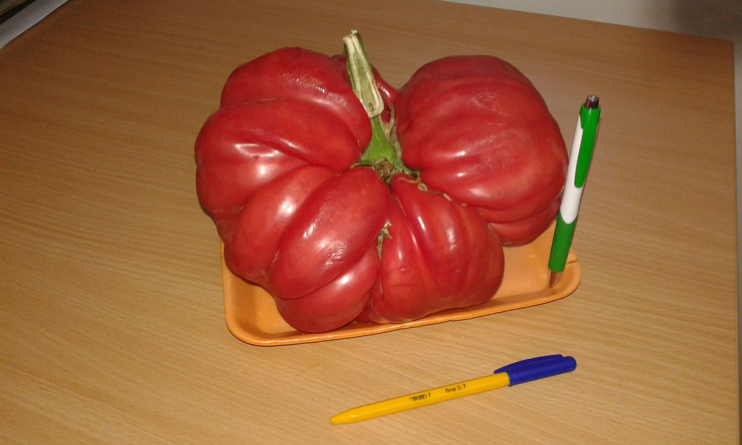 Семейство отгледа 2.3-килограмов домат