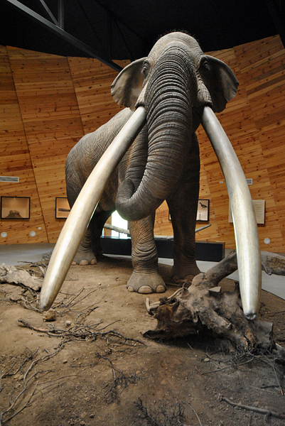 Мастодонт посреща туристи в с. Дорково (снимки)