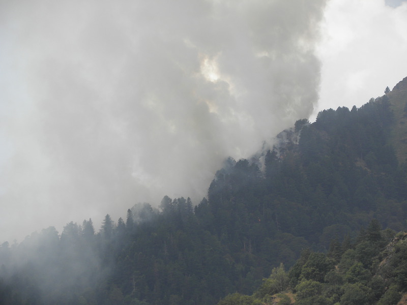 Пожарът под Додов връх се е разпрострял на над 150 дка