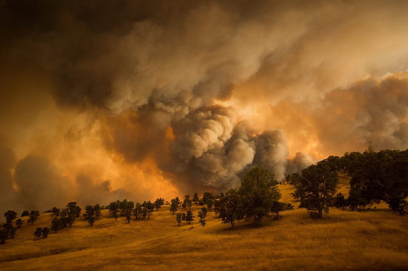 Заради горски пожари в Калифония бе обявено извънредно положение
