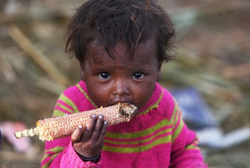 Дете гризе кочан царевица в Кашмир. Според ООН най-много гладни хора има в Индия