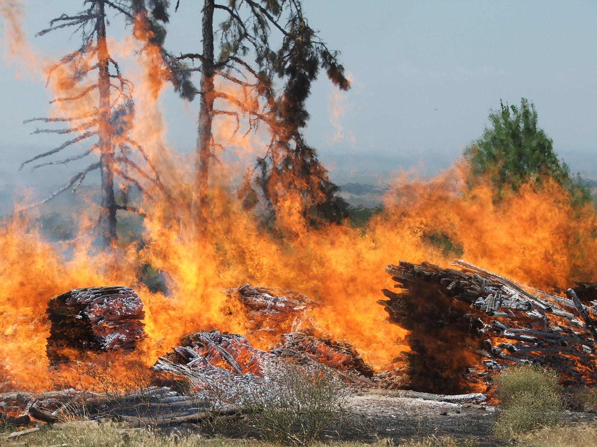 Висок риск от пожари в Източна и Северна България